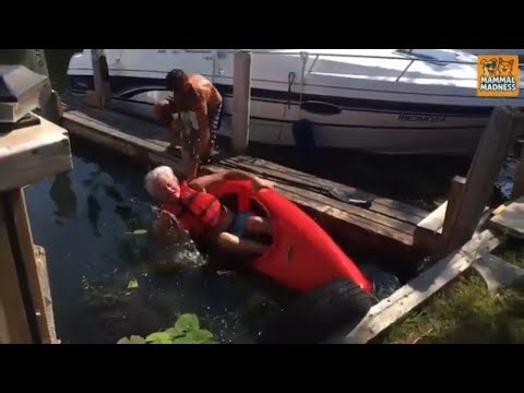 Water Gone WRONG | Slip N Slide Chaos Compilation 😂