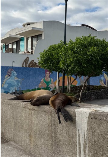 Esto fue un aproximado de todo lo que gaste en mi viaje por Islas Galapagos , que te parecio?! #galapagos #galapagosislands #islasgalapagos #sancristobal #playa
