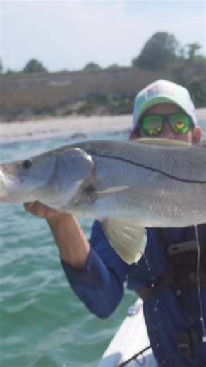 Abenz Fishing on Reels