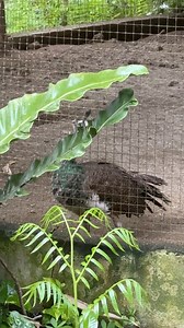 For Rehoming | Michelle Fox