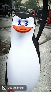 DANCING PENGUIN 🐧 💯#trending #viral #viralvideos #comedy #funny #dance #love #trending #shortvideos