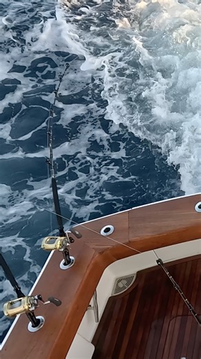 The ocean calls us back — every wave, every breath of wind. At Wolfpack, that’s why we fish. It’s where we belong. | WolfPack Tackle