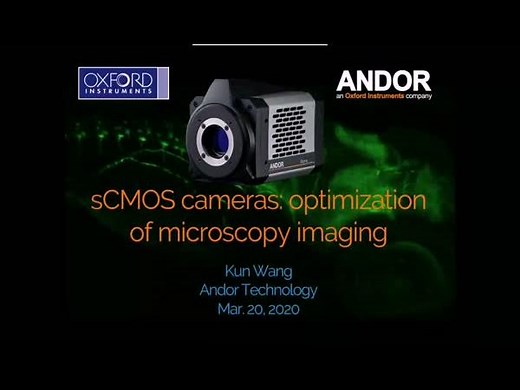 如何用sCMOS相机优化显微成像