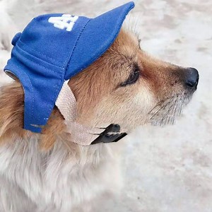 [Hot Item] Dog Hat Small Little Pet Summer Canvas Hats Dog Baseball Cap