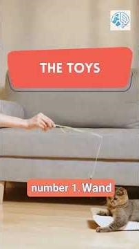 The 3 Toys Every Kitten Needs (According to Cat Behaviorists).