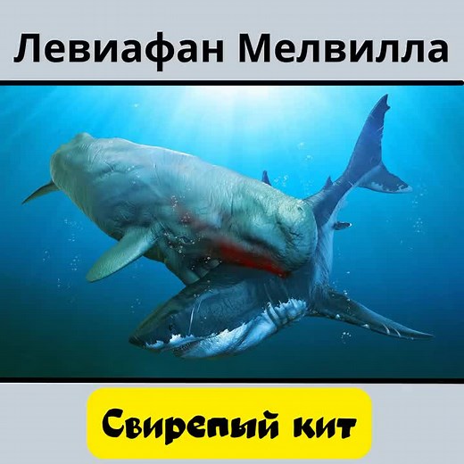 Исследование доисторических животных и китов