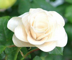 How to Make a Wooden Flower