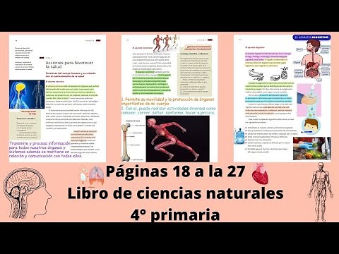 Páginas 18 a la 27 libro de ciencias naturales 4° primaria