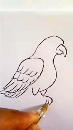 كيف ترسم ببغاء مثل الحقيقة سهل