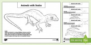 Animals with Scales Colouring Sheets