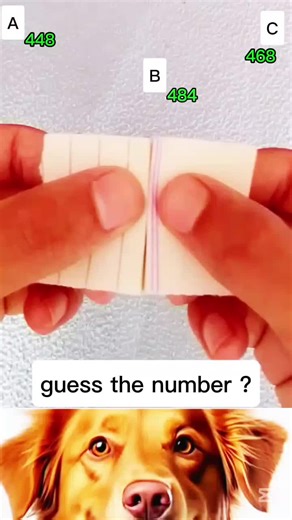 GUESS Number? on TikTok