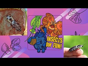 PODCAST: Click Beetles!