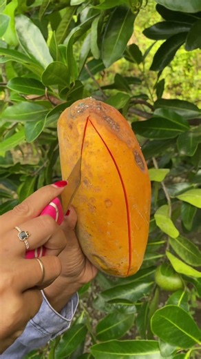 Papaya Fruit Peeling #papaya