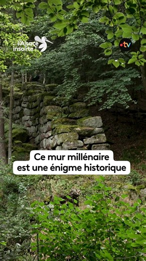 Les dimensions du mur païen sont exceptionnelles : 11 km de long, jusqu'à 3 mètres de hauteur et 2 mètres de large. Des pierres de plusieurs tonnes posées les unes sur les autres. Qui l'a construit ? À quoi servait-il ? Malgré de nombreuses fouilles et recherches, le mur n'a toujours pas livré ses secrets 🧱 | France 3 Champagne-Ardenne
