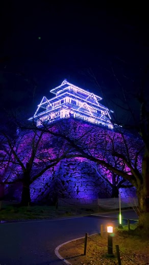 春の福岡城跡ライトアップを楽しもう！