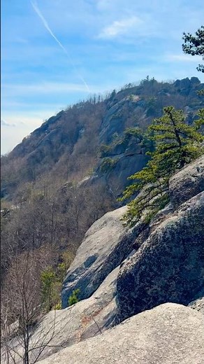 Shenandoah National Park Was Unreal… 🌄