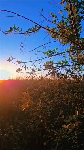 Creed - Higher - 1999 #creed