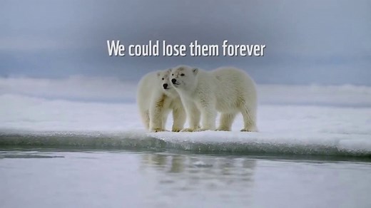 World Wildlife Fund TV Spot, 'Home: Polar Bears'