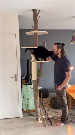 Jonas Monnier on Instagram: "Nouveau concept d’arbre à chat ! Comme l’appartement est déjà bien rempli, j’ai réfléchi à un système qui ne prendrait pas beaucoup de place au sol pour créer un nouvel espace de jeu à Izy et karma. En général, pour assurer la stabilité de l’arbre, on est obligé d’avoir des socles très larges. J’ai donc cette fois-ci opté pour une fixation par serrage du sol au plafond (2,50 m) sans aucun socle ! Pour cela, j’ai coupé le tronc en deux sur sa partie haute et j’ai insé
