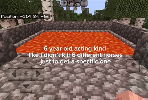 Sound of Dying Horses in Minecraft