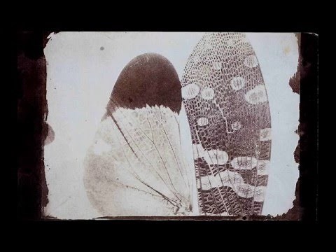 Wlliam Henry Fox Talbot and the Invention of Photography