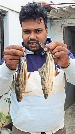 छोटी रोहू मछली 🐟😋 #fish #shorts #food