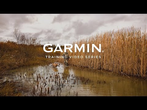 HuntView™ Plus Maps: Know where you are, and where you’re going – Garmin® Retail Training