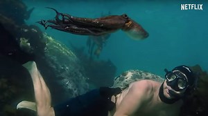 Netflix drops 'My Octopus Teacher' trailer, and it's exactly what it sounds like