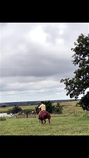 The cowboy never rides away in Pawhuska, Oklahoma!🤠 Y'all make plans to come & spend the weekend with us November 14-15 during the Pawhuska Western Swing Festival!!🎻🎻 We'll have two days of the BEST DARN WESTERN SWING MUSIC you've ever danced to - and yes, there will be dancing!🎶 You'll enjoy Western Swing music by Mary Lee & Caesar's Cowboys (from Rome, Italy!!), Oklahoma Swing, Jim Garling, Hank Thompson's Brazos Valley Boys under the direction of Morey Sullivan, and JODY NIX too!‼️🤠🎻🎶 