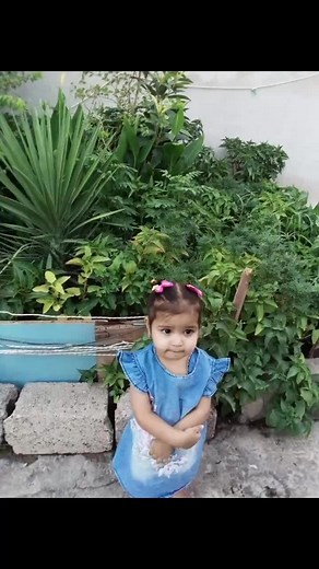 Gvcf initial على TikTok