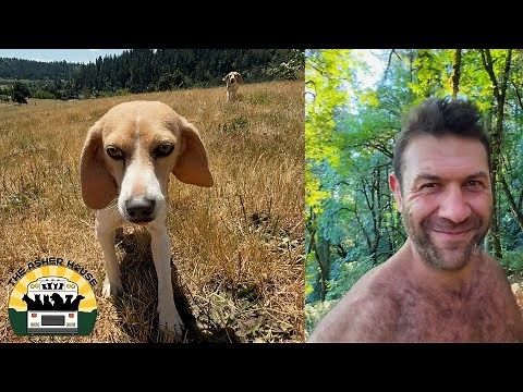 Using Beagles for lab testing is unethical and we can all do our part to make a difference