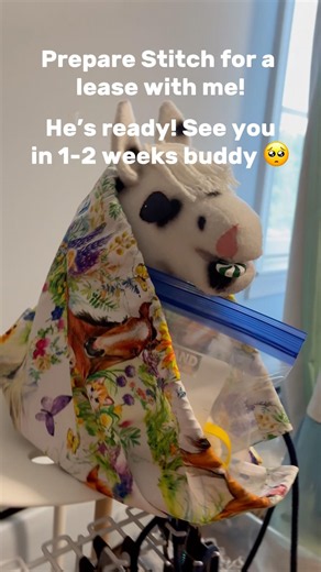 He’s off to ‪@Brooklynn_H.H‬! What pony do you think I’ll get? 👀 #hobbyhorse #hobbyhorsing #kht #hh