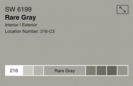 Sherwin Williams Rare Gray SW-6199 - Elegant Painting