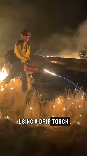 Firefighters Start Fires on Purpose #amazingfacts #helpmemakethismakesense #didyouknow