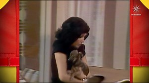 El Chapulín Colorado se toma sus pastillas de chiquitolina para encontrar al ladrón de juguetes, pero vaya sorpresa se llevó. #ElChapulínColorado, todos los sábados a las 2:30 pm por #LasEstrellas; disponible en #ViX | El Chavo del 8