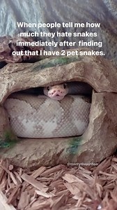 I love it 💛🤗 #snakes #snakelove #reptile #reptilelover #snake #snakelife #snakelover #python | Perfect World