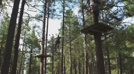 This fall, adventure is calling and it’s waiting for you at Flagstaff Extreme! 🍂🌲 From climbing high to zipping fast, our course is the ultimate way to experience fall in Flagstaff. 🙌 We’re excited to have been featured on @abc15arizona, and you can catch the full video now through the link https://youtu.be/cT8Zj_kW7Jc?feature=shared or link in bio/linktree. Thanks to abc15 for showcasing the thrill of Flagstaff Extreme Adventure Course. | Flagstaff Extreme Adventure Course & Adventure Zips