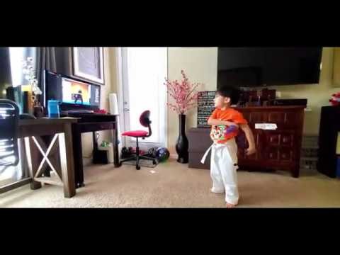 CAFFREY TAEKWONDO ZOOM CLASS 7-6-20