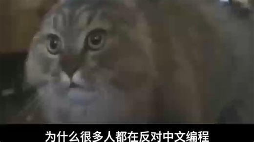 为什么大家都反对中文编程