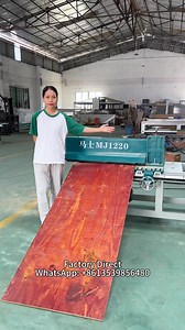 209K views · 1.3K reactions | The automatic feeding panel saw can easily cut large panels of 1.22 meters or 2.44 meters by one person, freeing both hands. It is safe and easy to use. #TemplateSaw #mj1220 #mj915 #PanelSaw | Woodworking Shops | Facebook