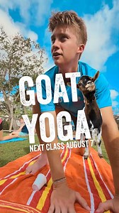 8.2K views · 76 reactions | A lot of y’all have been asking about Phil’s fitness routine… so we’re spilling the tea.  Goat Yoga is back Thursday, August 7 at Lakewood! It’s $30 per guest and you can sign up at the Info Center. Stretch, laugh, and hang with the G.O.A.T.s. Spots fill fast so hoof it over and claim yours! #lakewoodcampingresort #myrtlebeachsc #goatyoga | Lakewood Camping Resort | Facebook