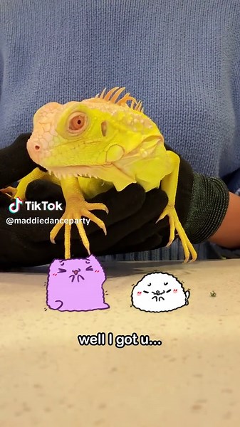 Wholesome Cat Animation That Will Melt Your Heart