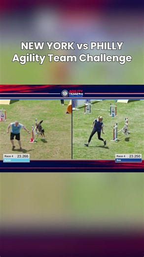 Watch How This Race Ends 😤 | AKC Agility Team Challenge