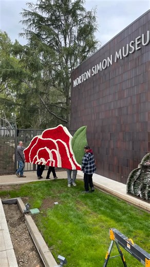 🌹We’re ready for the Rose Parade! 🌹 Look for the Museum & our rose at the @rose_parade on New Year’s Day! 🗓️ Please note we’re open today, Tuesday, December 30 from 12-5p.m. and on Wednesday, December 31 from 12-4p.m. and closed on Thursday, January 1 for the Rose Parade. | Norton Simon Museum