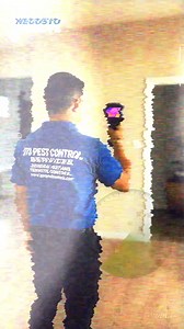 Led by agriculture graduates Noel and Judy Urias, JTO Pest Control brings expert knowledge and trusted service to every home. Why choose JTO? ✅ Led by certified experts in insect pest management ✅ Uses advanced pest detection tools to locate hidden infestations ✅ Applies high-end, eco-safe chemicals that are safe for your family ✅ Finishes most treatments in just 2 to 5 hours With branches and deployments nationwide, we’re here to protect your property—safely and efficiently. ✅FREE inspection & 