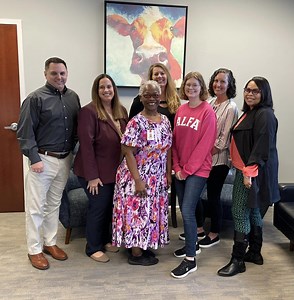 Alfa Insurance Corporate Careers