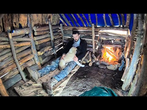 Heavy Rain Camping in Wooden Cabin • Cozy Day with my Dog in Thunderstorm - Relaxing Rain Sounds