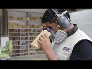 Metodos de identificación de madera - CITEmadera