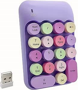 Amazon.com: Seaciyan Wireless Number Pad, Ergonomic Cute Colorful Retro Mini Portable Numeric Keypad, 2.4G Cordless External Keyboard for Computer, Laptop (Purple) : Electronics