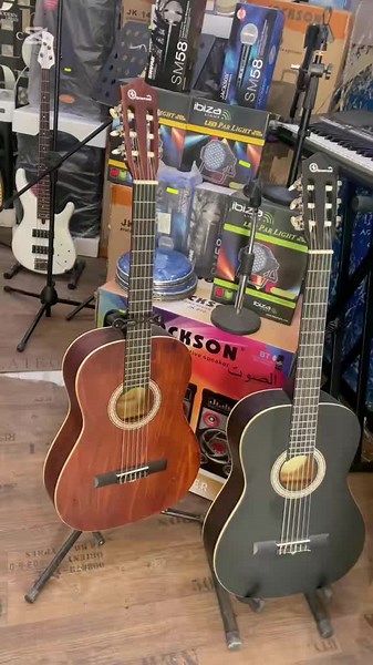 Vidéos de instruments de musique (@instrumentsounds) avec son original - Cheb Charaf officiel ✅